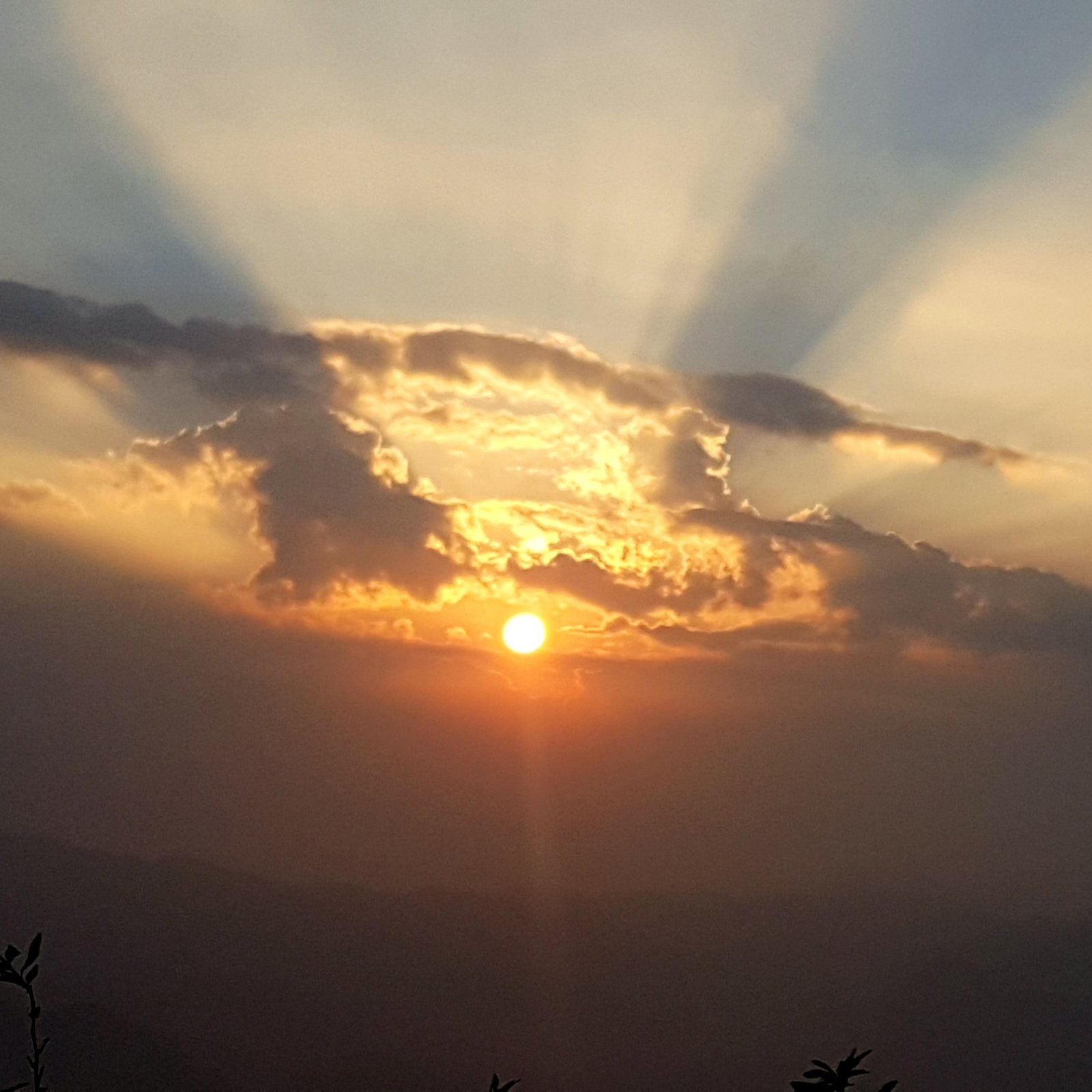 Kasauli Sunrise